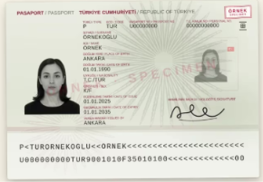 Valid passport bio page example